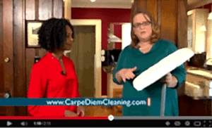 Amazing Sh-mop + Carpet Cleaning Reminder | Carpe Diem Cleaning